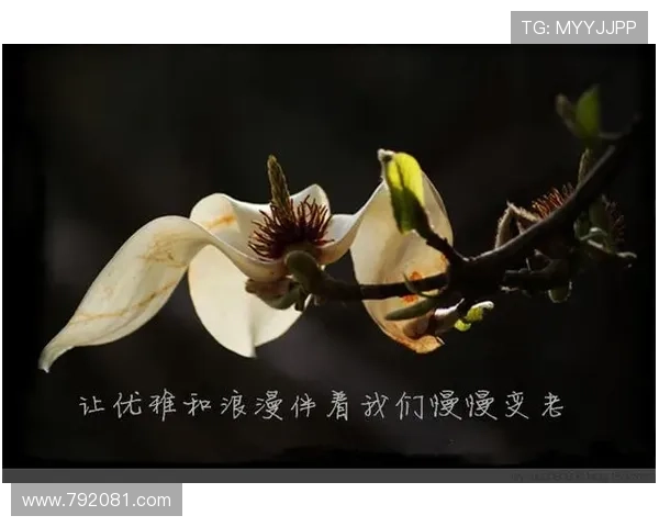 岁月静好，不如侯爵的浪漫：当优雅遇上青春的悸动